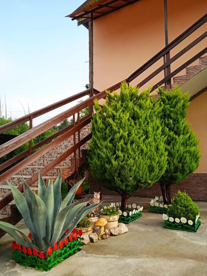 Изабелла Hotel Pitsunda Eksteriør billede